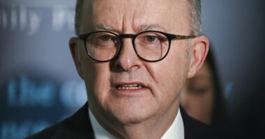 Albo's extraordinary excuse for being endorsed by terrorists