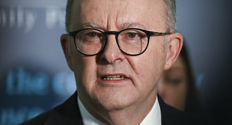 Albo's extraordinary excuse for being endorsed by terrorists