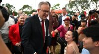 Albo's govt accused of censoring number of migrants coming to Oz