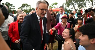 Albo's govt accused of censoring number of migrants coming to Oz