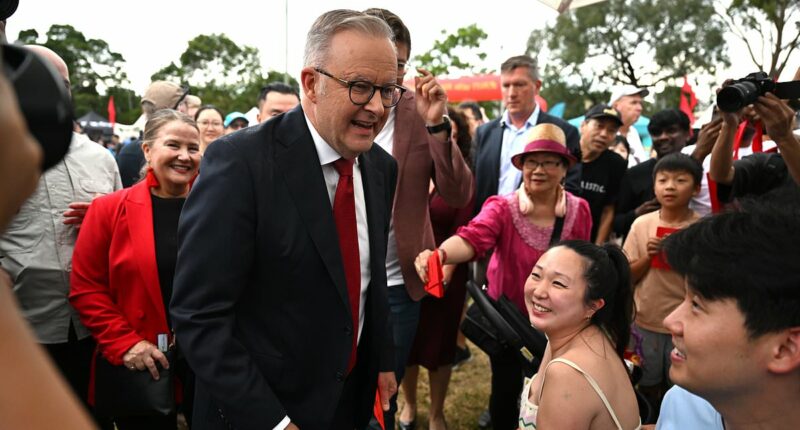 Albo's govt accused of censoring number of migrants coming to Oz