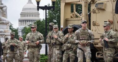 Alert National Guard Members in D.C. Stop 'Potentially Life-Threatening' Situation (and That's Not All)