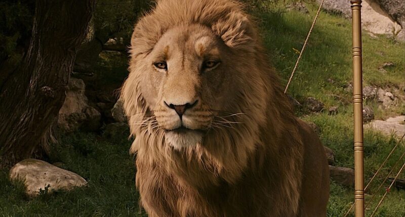 All 7 Chronicles Of Narnia Books Ranked
