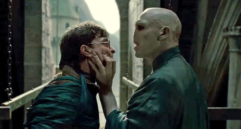 All 7 Horcruxes In The Harry Potter Series Explained