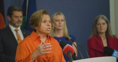 All states and territories have agreed to rush through urgent reforms to the working with childrens check after allegations of child abuse at centres across the country.
