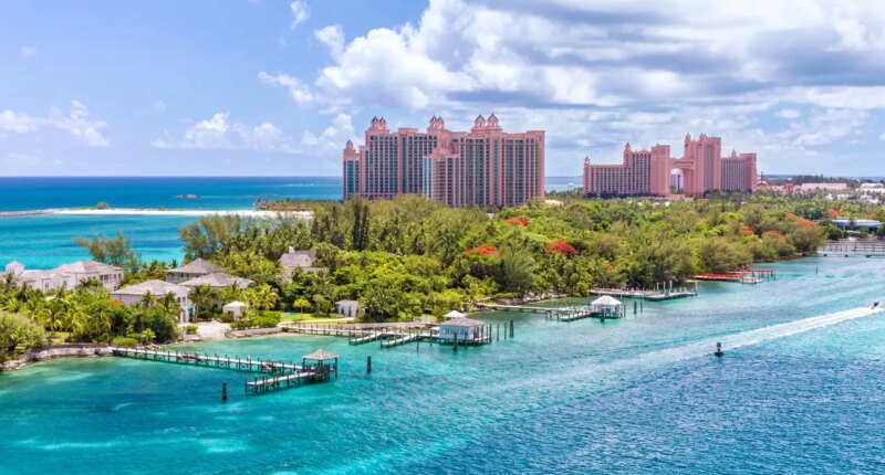 American tourist attacked by shark in vacation hot spot