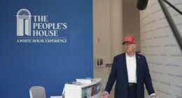 An Open Letter to the Democrats Who Cried 'Wolf!' (Approximately One Billion Times)