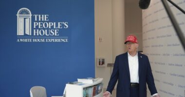 An Open Letter to the Democrats Who Cried 'Wolf!' (Approximately One Billion Times)