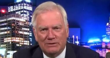 Andrew Bolt's response after call to rollback Palestine recognition