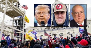 Another judge swats down Jan. 6 rioter's restitution refund