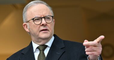Anthony Albanese accuses Israel's Prime Minister of being 'in denial'