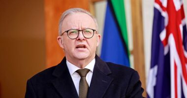 Prime Minister Anthony Albanese (pictured) has announced that Australia will formally recognise Palestinian statehood, defying stringent criticism from Israel