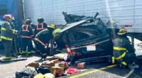 Appalling past of illegal migrant trucker who killed three with U-turn