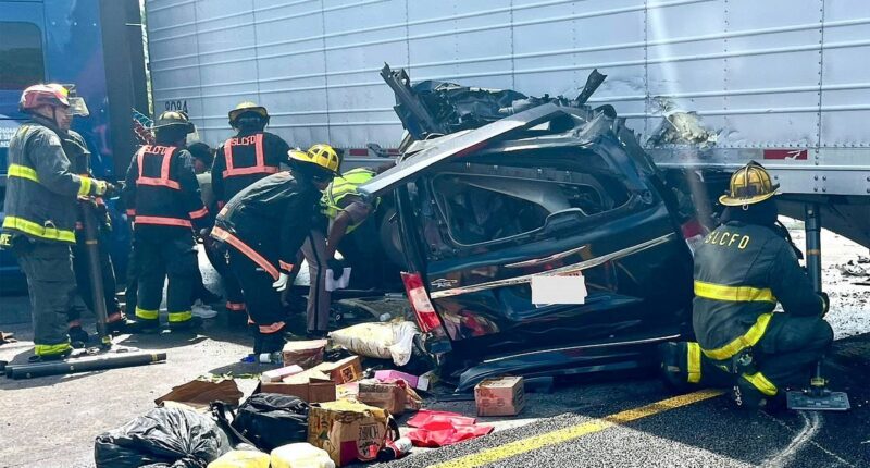 Appalling past of illegal migrant trucker who killed three with U-turn