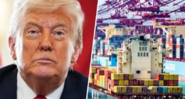 Appeals Court Says Trump's Tariff Push Overstepped His Powers