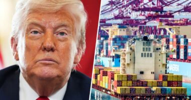 Appeals Court Says Trump's Tariff Push Overstepped His Powers