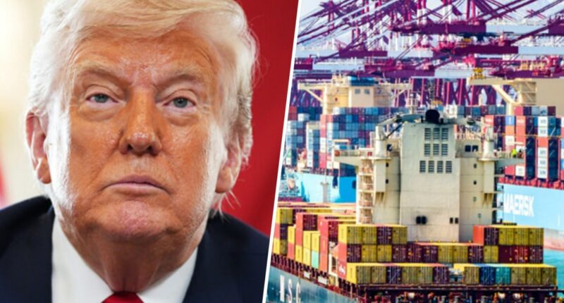 Appeals Court Says Trump's Tariff Push Overstepped His Powers