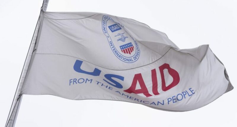 Appeals court allows Trump administration to resume foreign aid cuts