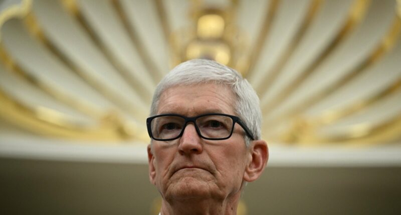 Apple CEO Tim Cook Says He Wants to Buy Startups