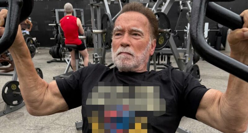 Arnold Schwarzenegger wears expletive t-shirt to troll Gavin Newsom