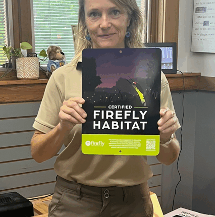 As firefly sightings decline, here's how to create a certified habitat