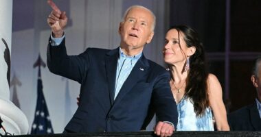 Ashley Biden deletes social media post attacking soon-to-be-ex-husband amid divorce filing: reports