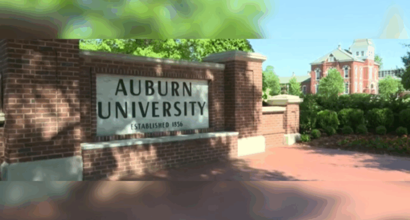 Auburn University to offer online seminar for tax professionals amid 'One Big Beautiful Bill Act' changes
