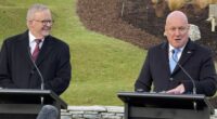 Anthony Albanese, Christopher Luxon
