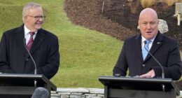 Anthony Albanese, Christopher Luxon