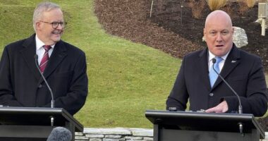 Anthony Albanese, Christopher Luxon