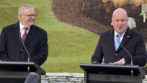 Anthony Albanese, Christopher Luxon