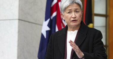 Australia calls for aid to enter Gaza amid 'unimaginable' suffering