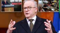 Australia will recognize a Palestinian state, Prime Minister Albanese says