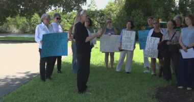 Authors, parents and advocates push back against book bans after Florida Board of Education meeting