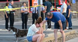 Awful 911 audio reveals full horror of Minnesota school shooting