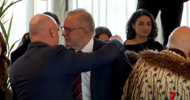 Albanese ended up having to awkwardly hug Luxon, after attempting hongi