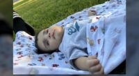Baby Emmanuel Haro timeline: How the search for a missing 7-month-old turned into an alleged murder