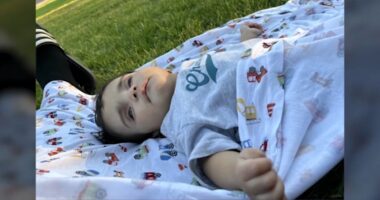 Baby Emmanuel Haro timeline: How the search for a missing 7-month-old turned into an alleged murder