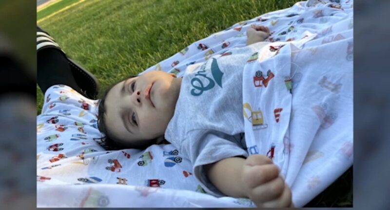 Baby Emmanuel Haro timeline: How the search for a missing 7-month-old turned into an alleged murder