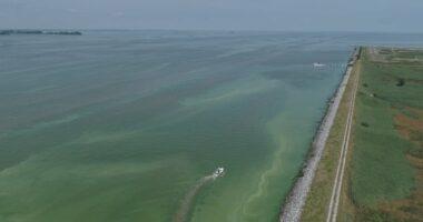 Bacteria 'bloom' explodes in Midwest lake as officials issue warning
