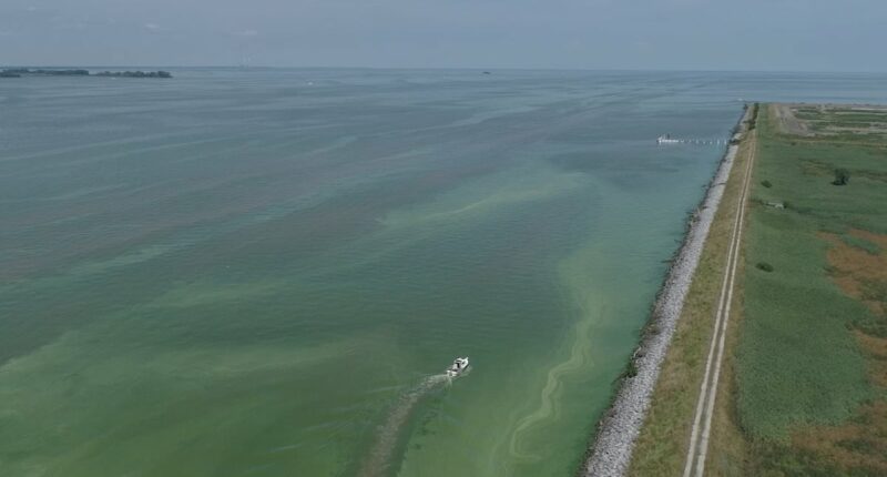 Bacteria 'bloom' explodes in Midwest lake as officials issue warning