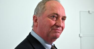Barnaby Joyce's urgent warning to Australia