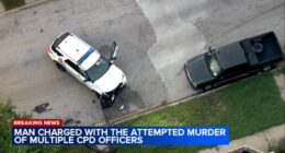 Barry Hayes accused of hitting CPD officers with car after Englewood railcar burglary, Chicago police shooting on Princeton Avenue