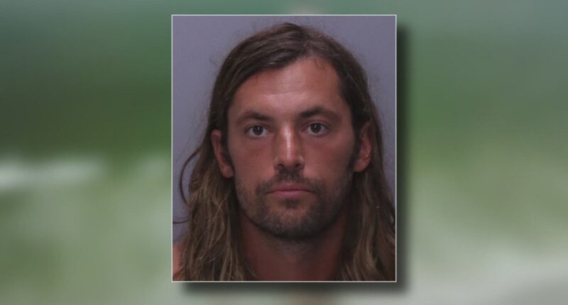 Bartram Trail teacher faces felony sex crime charges
