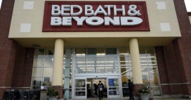 Bed Bath & Beyond previews Nashville flagship reopening