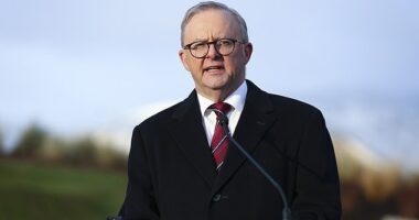 Prime Minister Anthony Albanese labelled the plan to widen Israel's military offensive in Gaza as 'completely unacceptable'