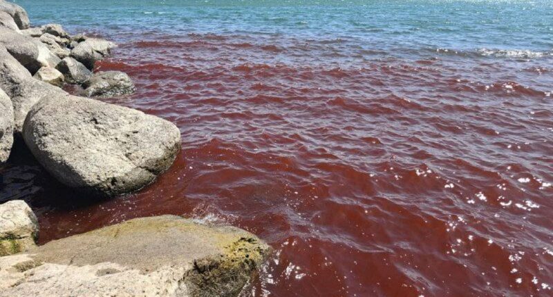 Biblical sea turns blood red sparking fears of God's plagues