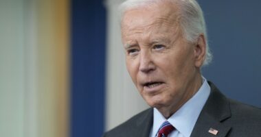 Biden Aide Reveals $8 Million Contract Details in Congressional Testimony