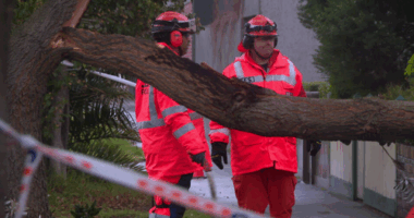 Blizzards, powerful winds bring destruction to multiple states