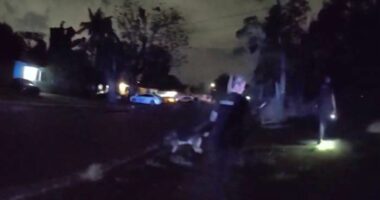 Bodycam video released months after crash where bystander was fatally struck during Orlando police pursuit